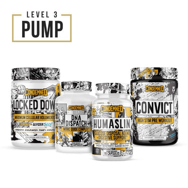 Level 3 Pump